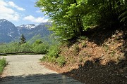 49 Attraverso la strada e mi immetto sul sentiero di fronte